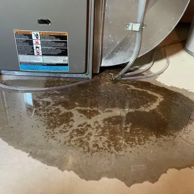 Appliance Leak Cleanup in Bevent, WI